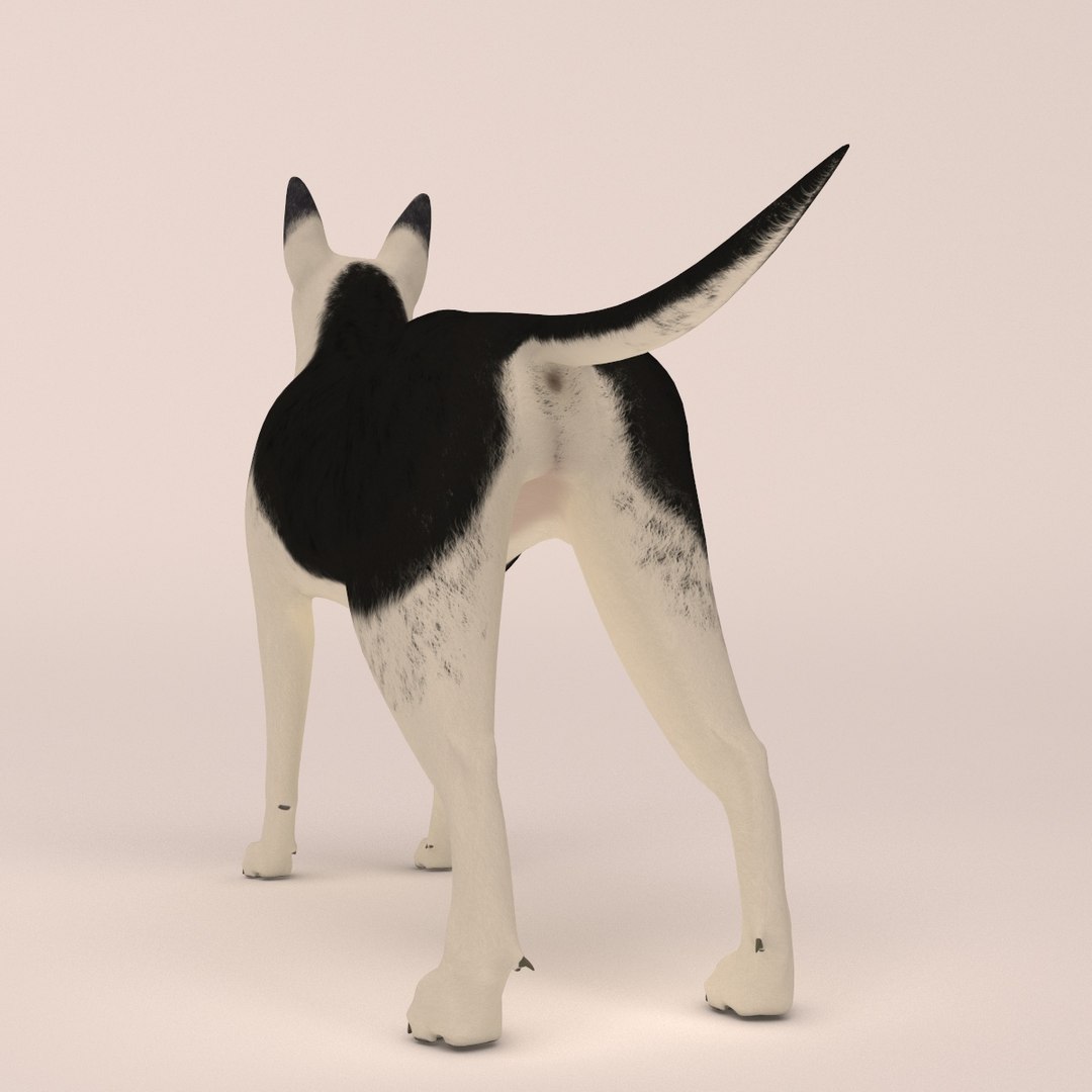 east european shepherd 3D model https://p.turbosquid.com/ts-thumb/XD/8kAimY/mtglM1ZS/12/jpg/1491209447/1920x1080/fit_q87/0f7507f7d66a6e201223f5abf97880e0aad4a983/12.jpg