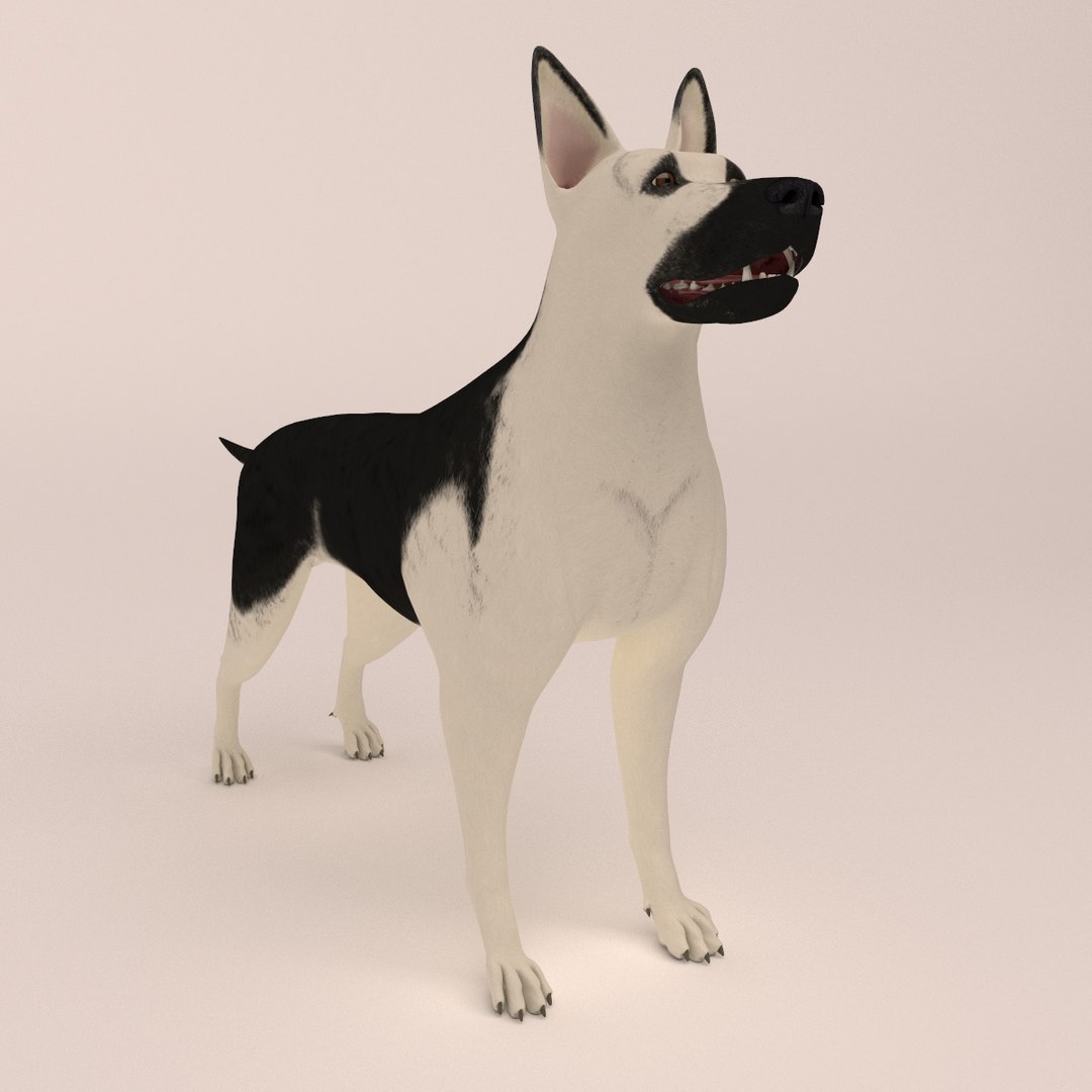 east european shepherd 3D model https://p.turbosquid.com/ts-thumb/XD/8kAimY/r0HDMeBU/9/jpg/1491209447/1920x1080/fit_q87/c4cc38c4e89eebd92a2b1b37e2b63f932f580e84/9.jpg
