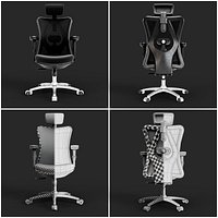 Ergonomic Mesh Office Chair with Headrest and Armrests
