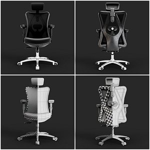 Ergonomic Mesh Office Chair with Headrest and Armrests