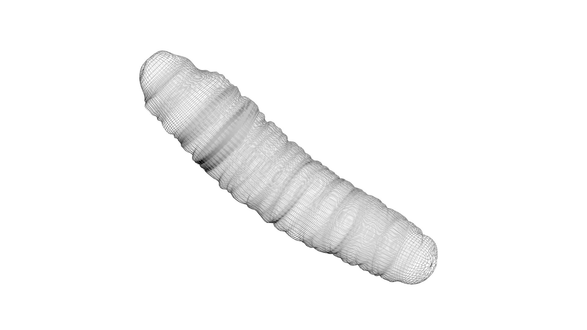 3D model Cutworm https://p.turbosquid.com/ts-thumb/XD/LjmeWF/08/cutworm17/jpg/1723966131/1920x1080/fit_q87/3a7e705719d1f3162367a092d37518460f518bf4/cutworm17.jpg