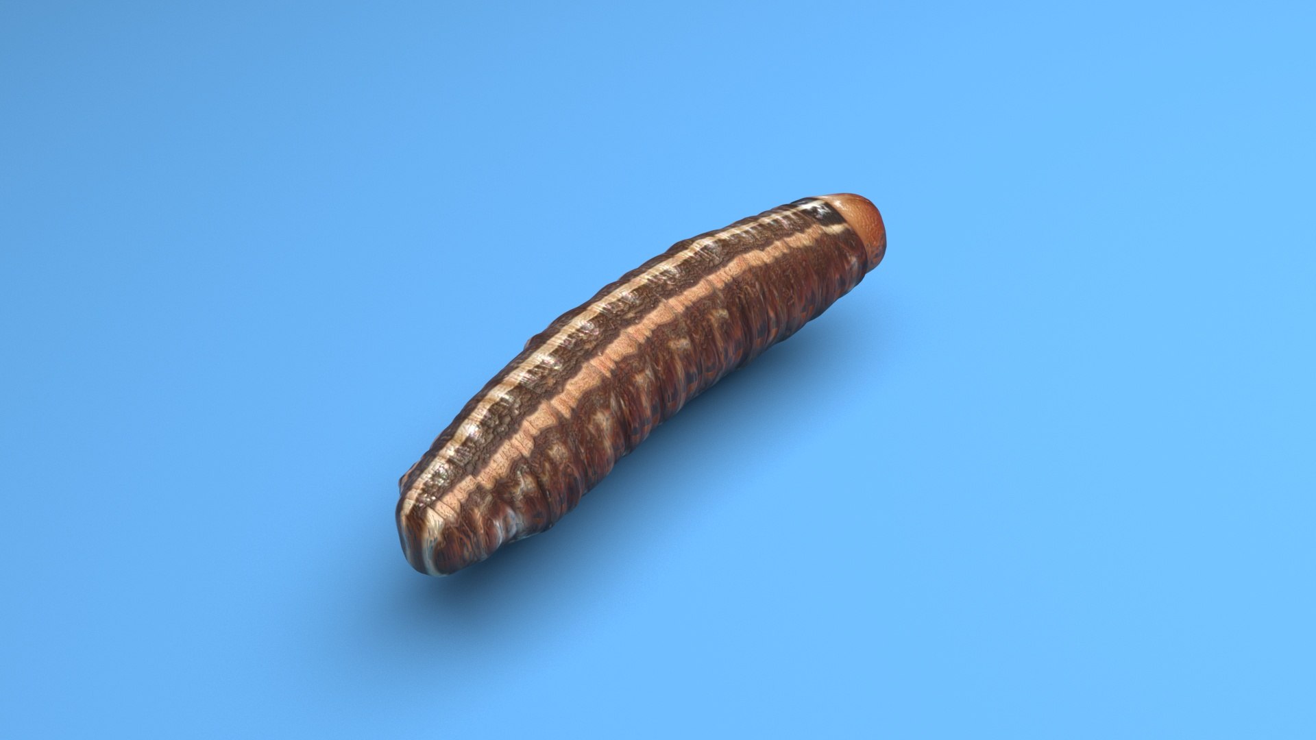 3D model Cutworm https://p.turbosquid.com/ts-thumb/XD/LjmeWF/38/cutworm6/jpg/1723966136/1920x1080/fit_q87/55ec920be6cf1ca395d6cbfc5309fdd464f1ccad/cutworm6.jpg
