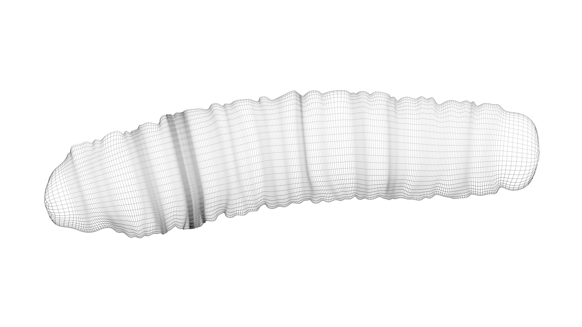 3D model Cutworm https://p.turbosquid.com/ts-thumb/XD/LjmeWF/4t/cutworm18/jpg/1723966130/1920x1080/fit_q87/31d682bd5feaa8b7557f1d730562cebad49523b8/cutworm18.jpg