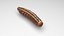 3D model Cutworm