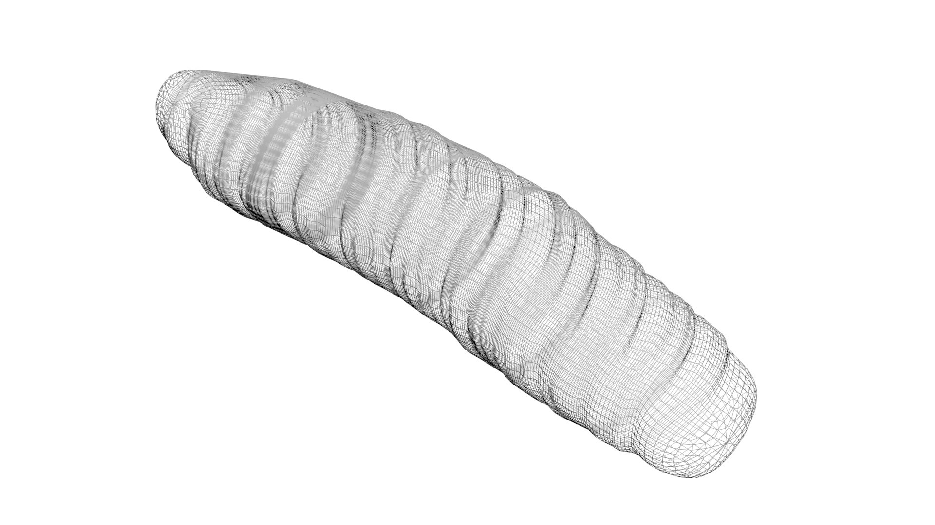 3D model Cutworm https://p.turbosquid.com/ts-thumb/XD/LjmeWF/70/cutworm14/jpg/1723966132/1920x1080/fit_q87/a23a37982d17fbc46eb7d6c225a2ef4607f6008c/cutworm14.jpg