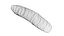 3D model Cutworm