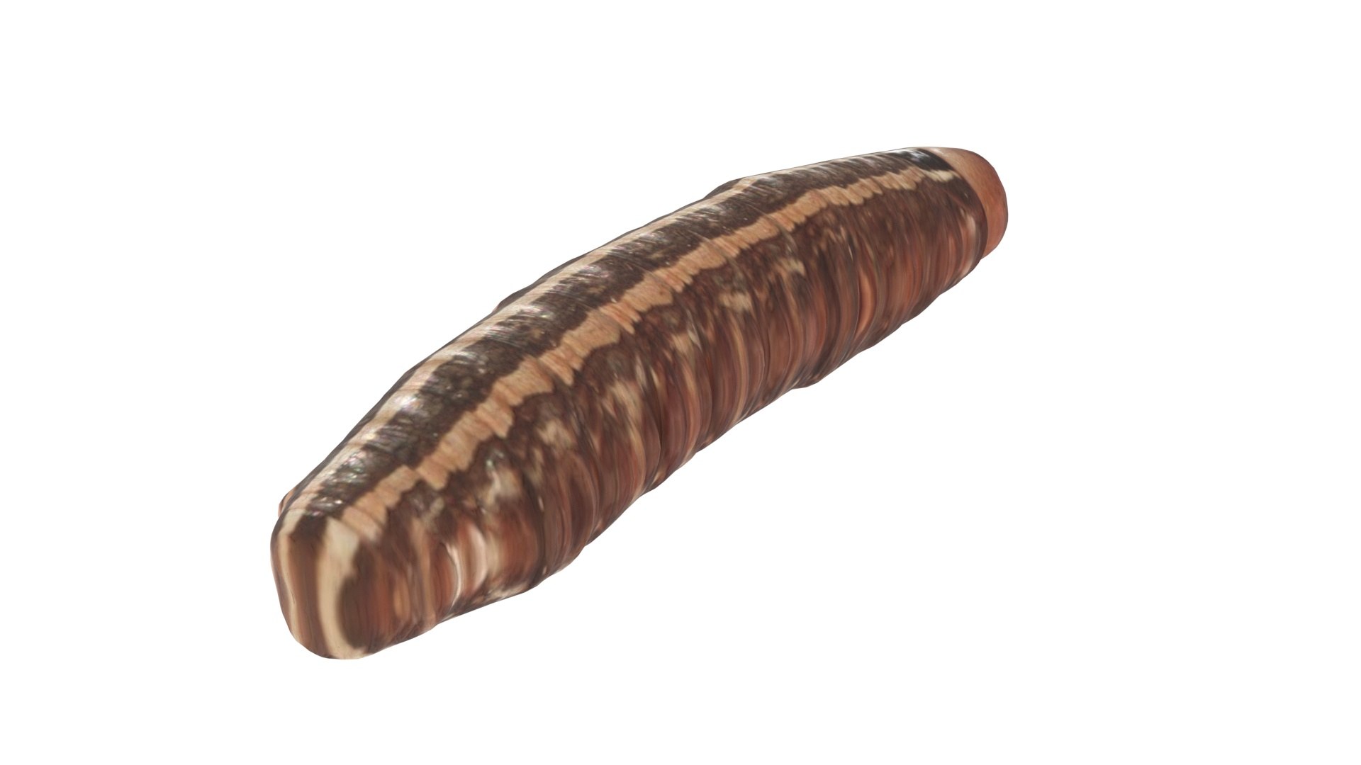 3D model Cutworm https://p.turbosquid.com/ts-thumb/XD/LjmeWF/Qu/cutworm8/jpg/1723966135/1920x1080/fit_q87/7181f8ee08d292a9dcd38c2ea749d3c5ec78a477/cutworm8.jpg
