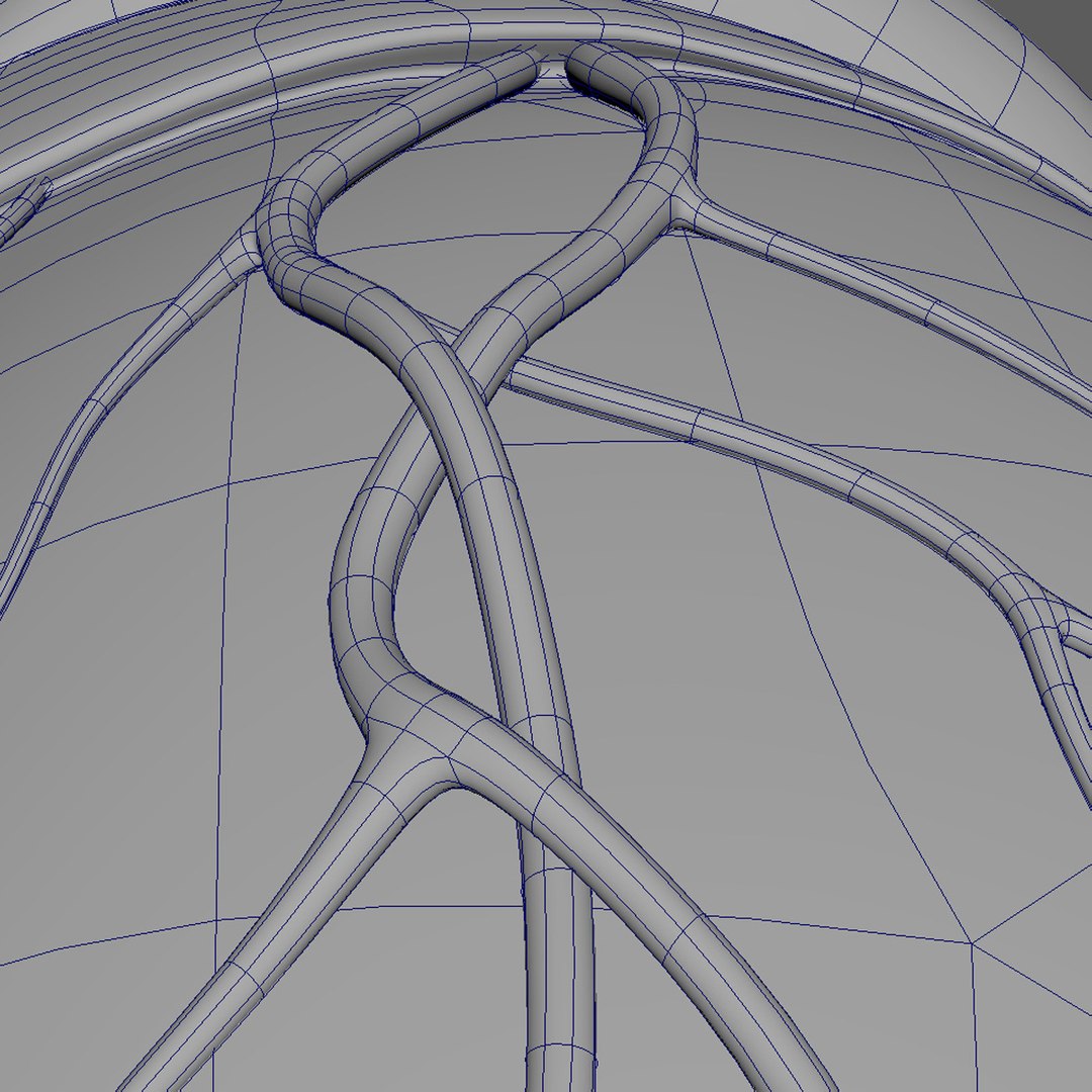 3D Rigged Heart Beating Model - TurboSquid 1227591