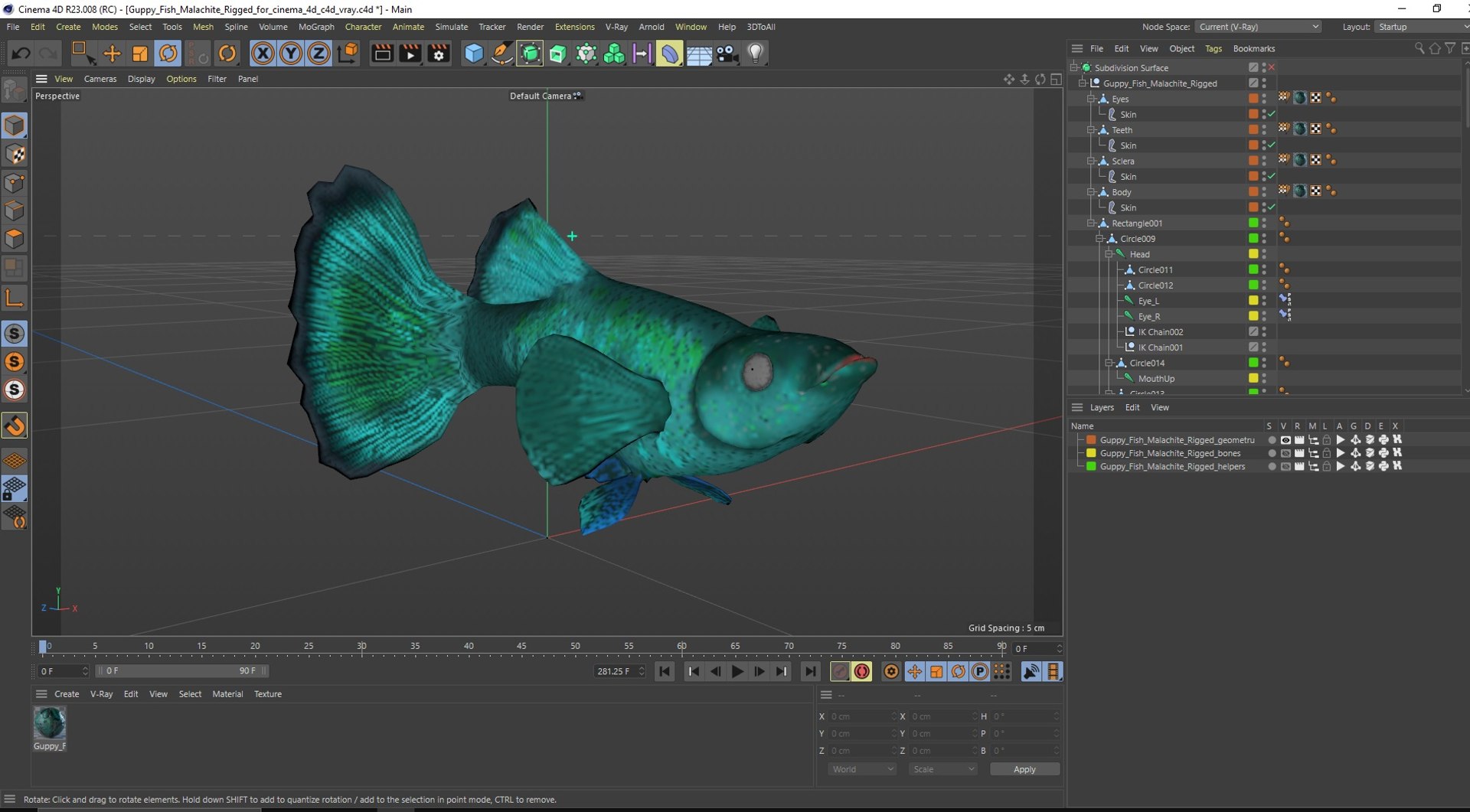 Guppy Fish Malachite Rigged for Cinema 4D model https://p.turbosquid.com/ts-thumb/XD/Y6eU2N/32/guppyfishmalachiteriggedforcinema4dc4dmodel041/jpg/1725556251/1920x1080/fit_q87/c5797468aaf88bd649fe5673821bfa507454810b/guppyfishmalachiteriggedforcinema4dc4dmodel041.jpg