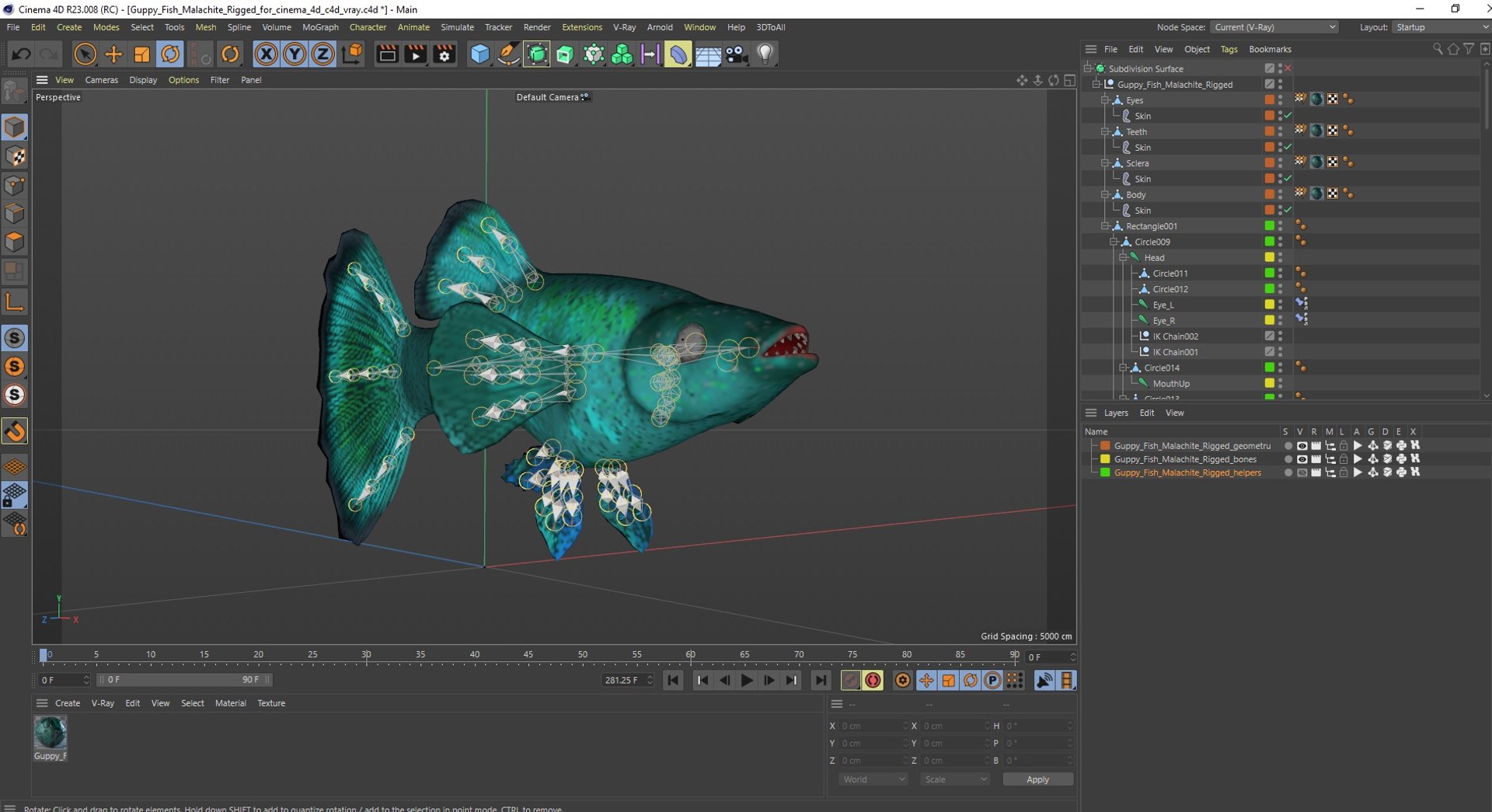 Guppy Fish Malachite Rigged for Cinema 4D model https://p.turbosquid.com/ts-thumb/XD/Y6eU2N/Ml/guppyfishmalachiteriggedforcinema4dc4dmodel038/jpg/1725556237/1920x1080/fit_q87/0c4a075d82678fcdf15702c50ce508386fae1d82/guppyfishmalachiteriggedforcinema4dc4dmodel038.jpg