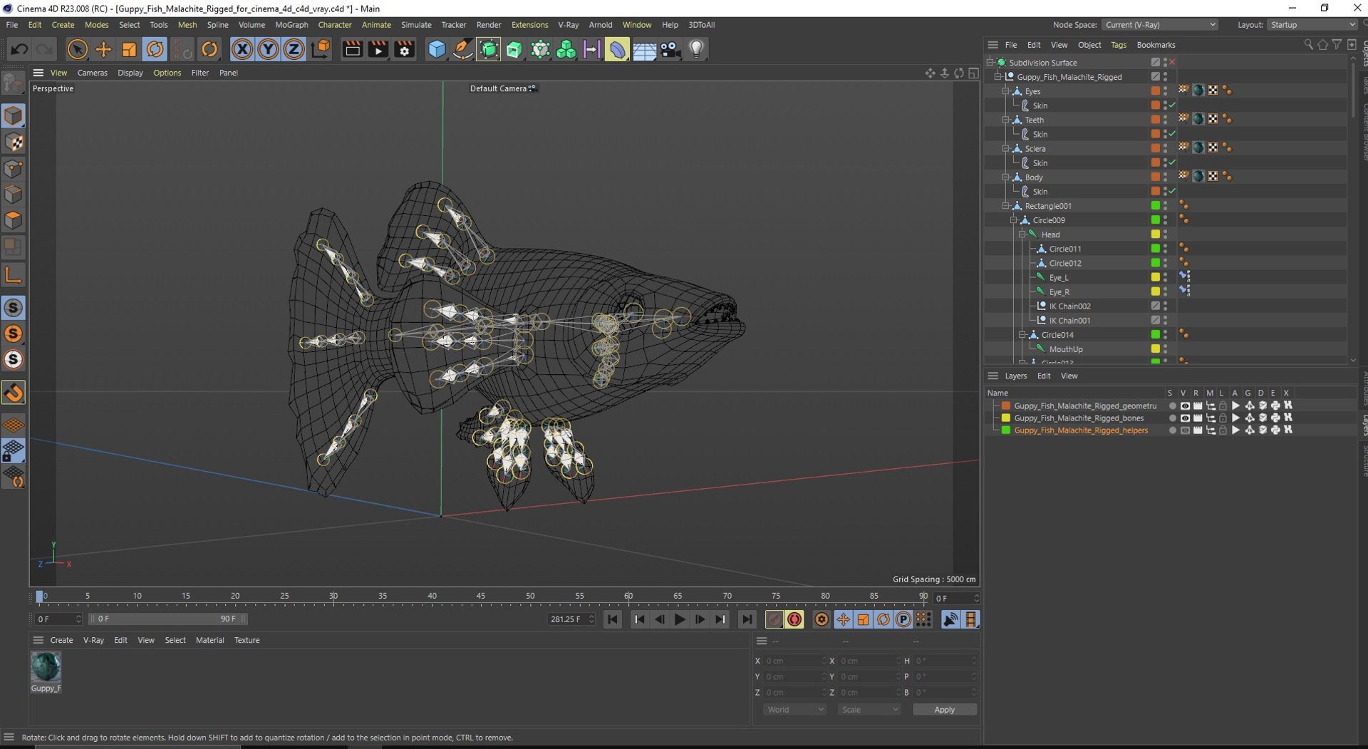 Guppy Fish Malachite Rigged for Cinema 4D model https://p.turbosquid.com/ts-thumb/XD/Y6eU2N/d0/guppyfishmalachiteriggedforcinema4dc4dmodel039/jpg/1725556242/1920x1080/fit_q87/31298655649384490271524b3e7714d8946c82a8/guppyfishmalachiteriggedforcinema4dc4dmodel039.jpg