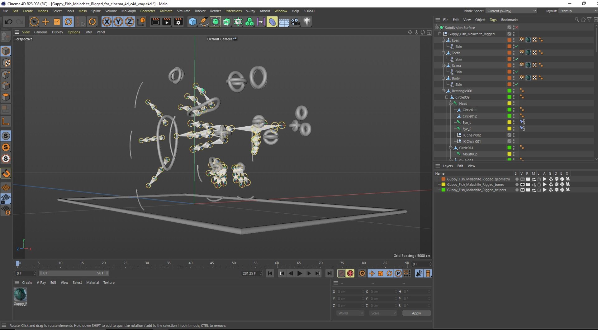 Guppy Fish Malachite Rigged for Cinema 4D model https://p.turbosquid.com/ts-thumb/XD/Y6eU2N/yT/guppyfishmalachiteriggedforcinema4dc4dmodel040/jpg/1725556246/1920x1080/fit_q87/b4961f4164050328f7fd3929060225b332880bc9/guppyfishmalachiteriggedforcinema4dc4dmodel040.jpg