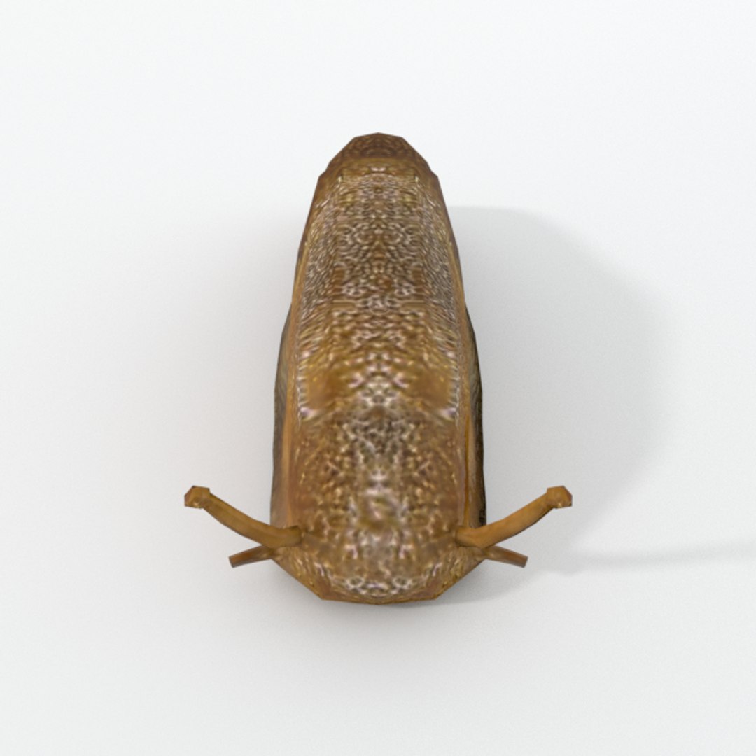 3D Slug - TurboSquid 1340462