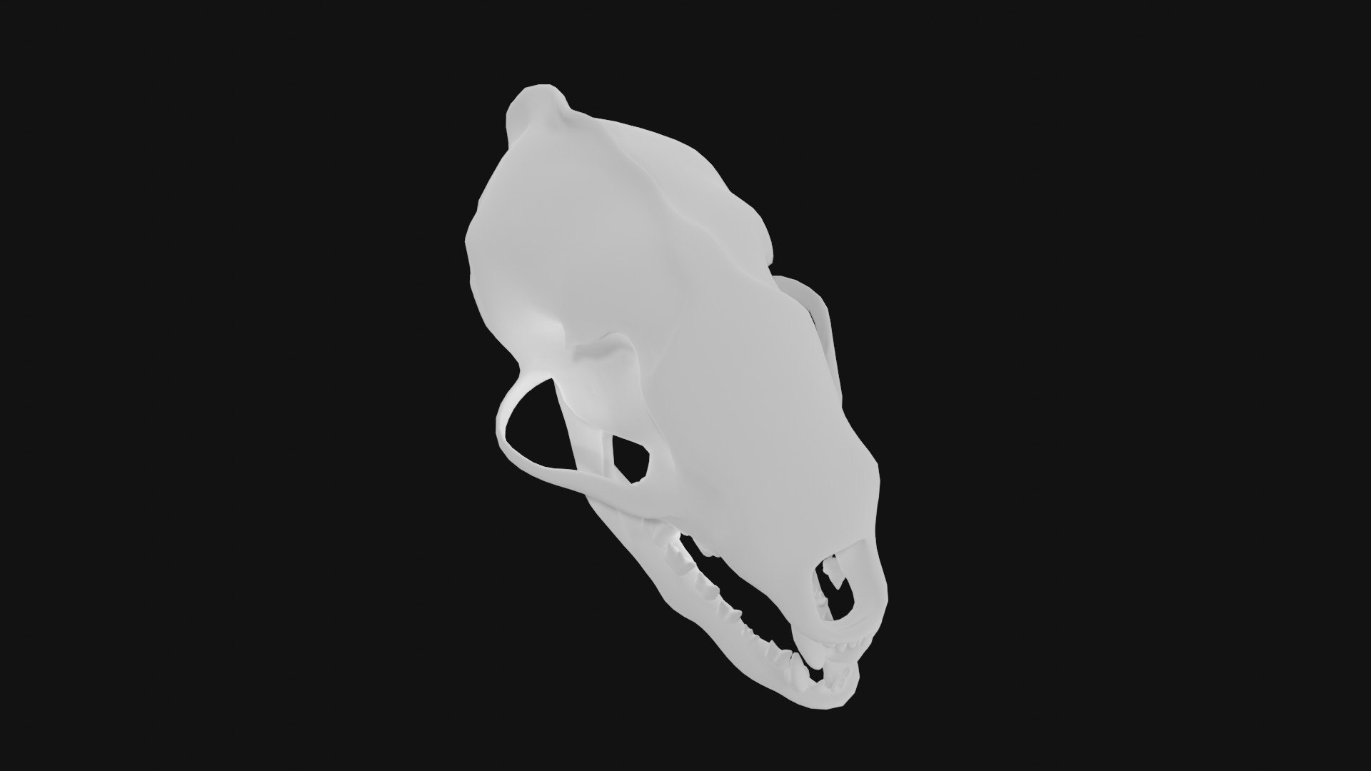 Badger Skull 3D Model - TurboSquid 1992719