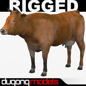 Cow 02