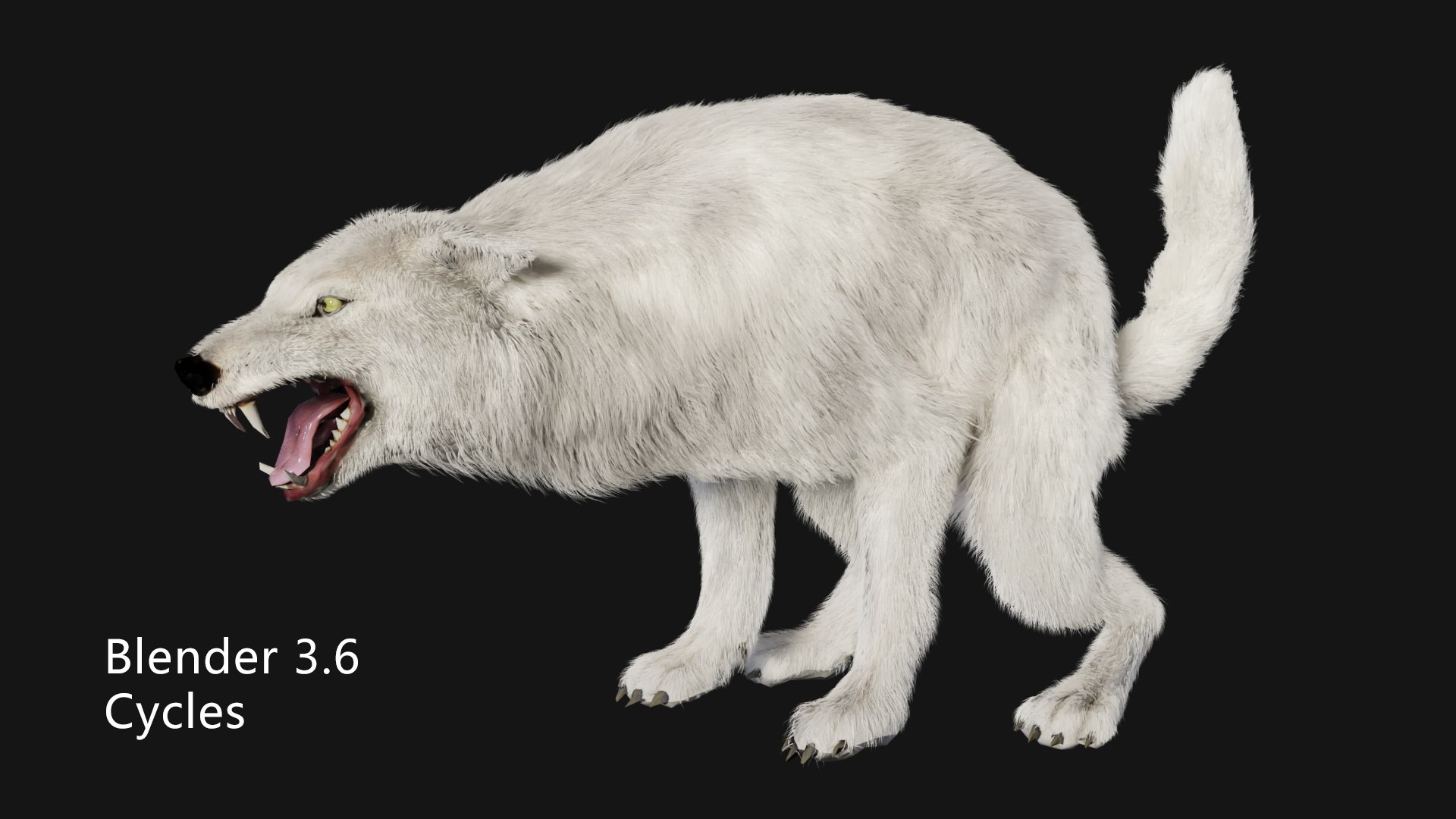 3D Arctic wolf https://p.turbosquid.com/ts-thumb/XE/AGRgpK/B9/cycles07/png/1705997687/1920x1080/fit_q87/24b724c0c9cf2b0efdd1b26f055db87618e4e3c8/cycles07.jpg