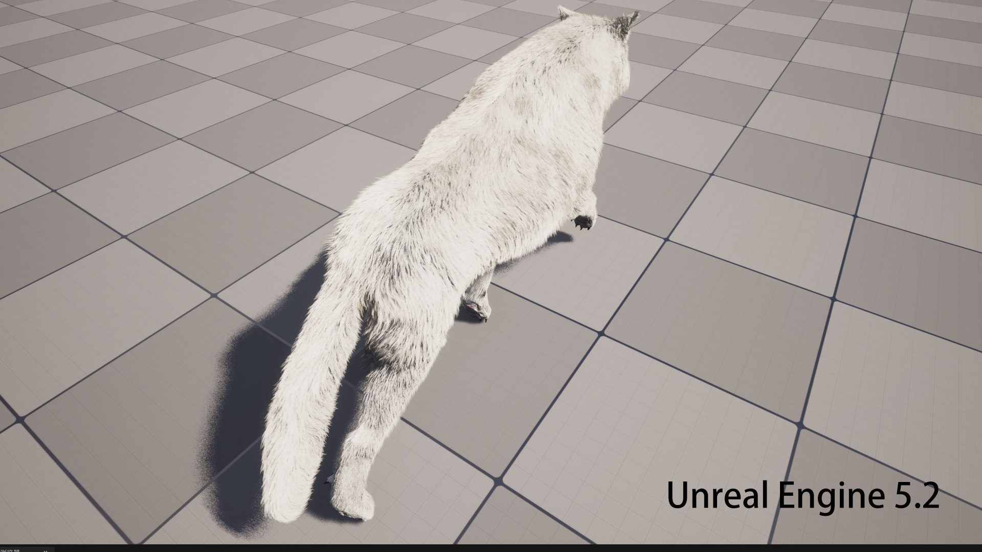 3D Arctic wolf https://p.turbosquid.com/ts-thumb/XE/AGRgpK/Jx/ue02/png/1774067144/1920x1080/fit_q87/9cd10defdf8f63a117afafaccdcc0260c49e839c/ue02.jpg