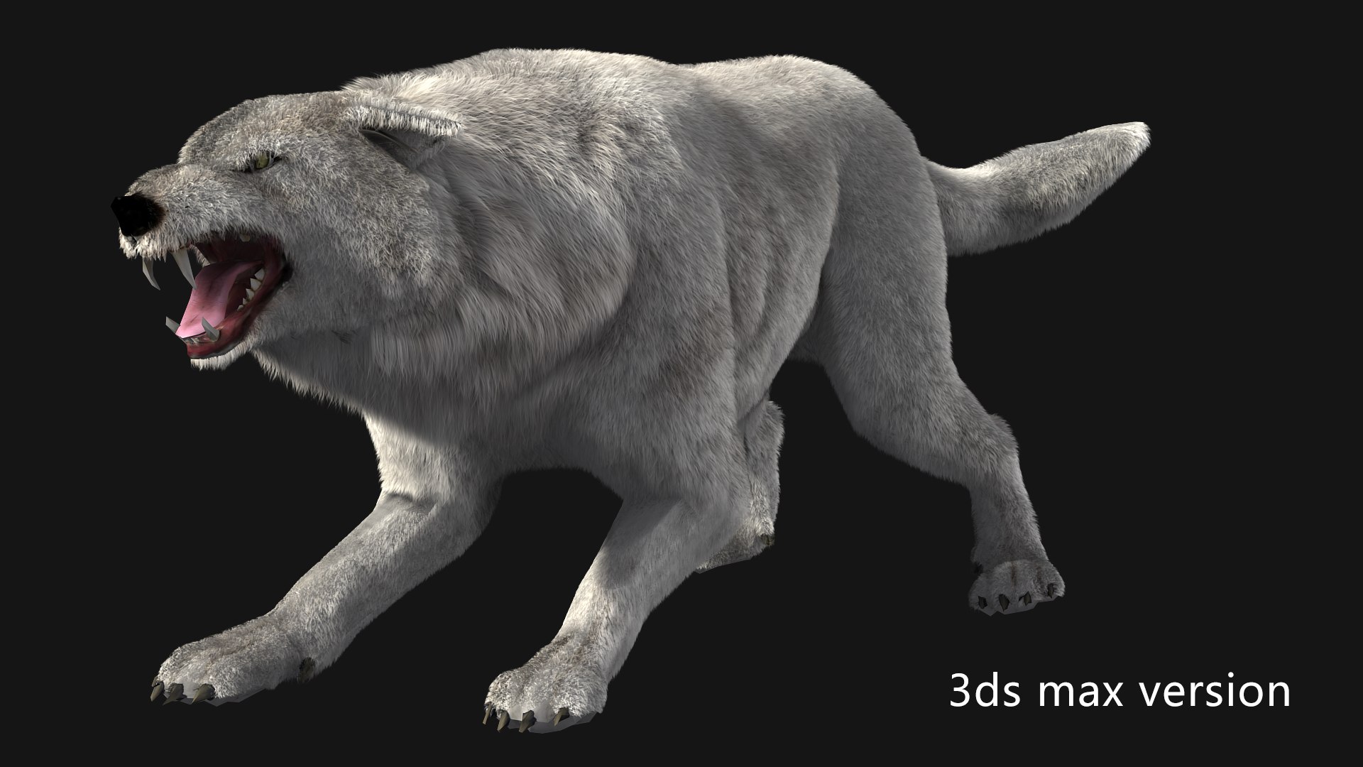 3D Arctic wolf https://p.turbosquid.com/ts-thumb/XE/AGRgpK/M0/z003/png/1705997687/1920x1080/fit_q87/69d7aa0537fd6a02bf0ea20575c32f3c49c1b3eb/z003.jpg