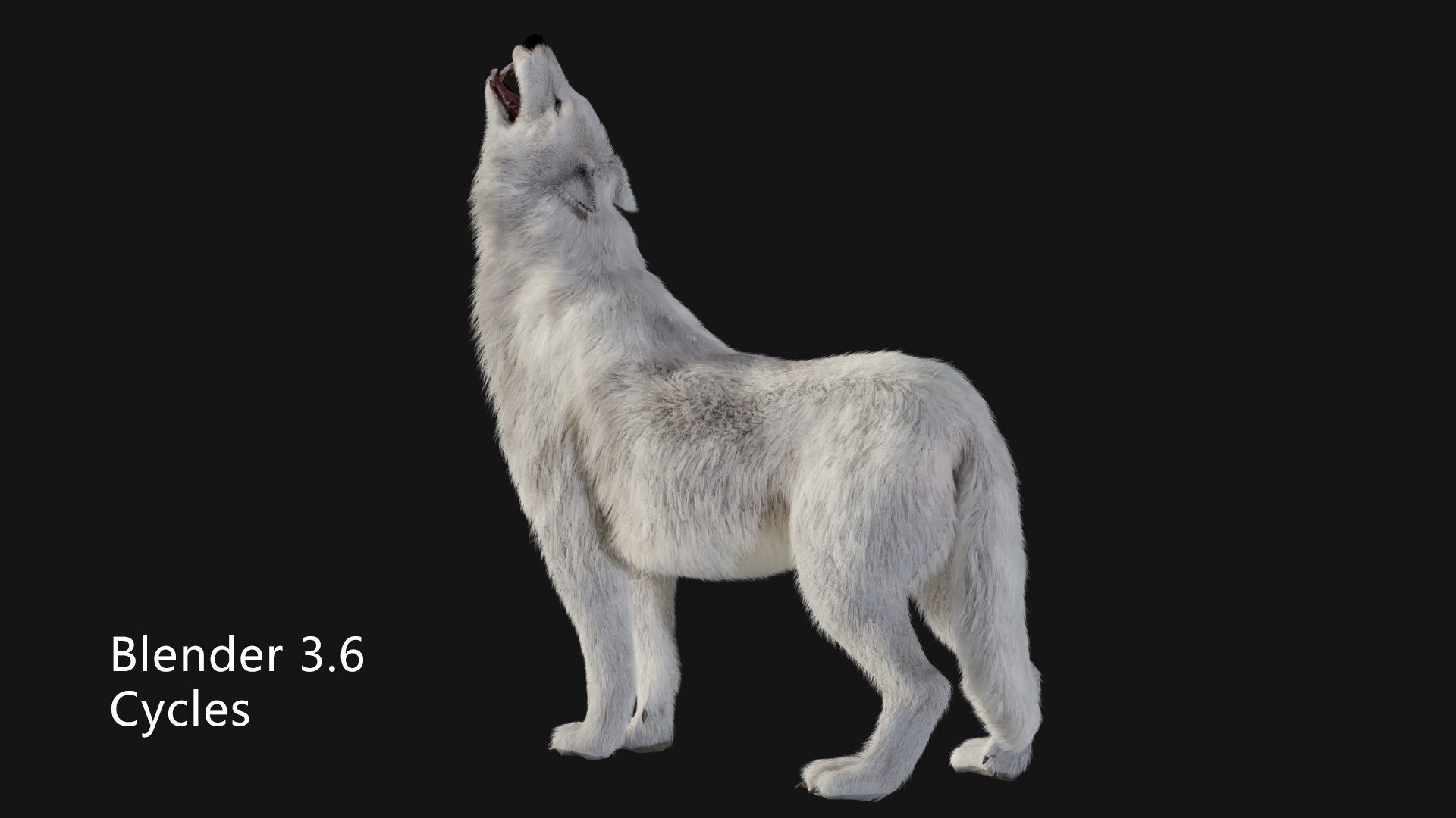 3D Arctic wolf https://p.turbosquid.com/ts-thumb/XE/AGRgpK/Xh/cycles08/png/1705997689/1920x1080/fit_q87/c7d455edf77e3af4e8c7bf0483a294ae1c77d9ca/cycles08.jpg