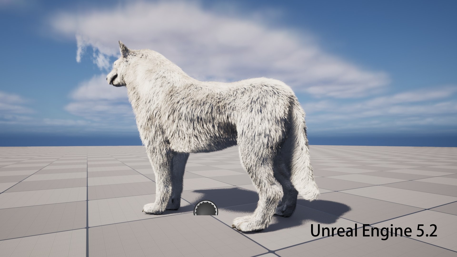 3D Arctic wolf https://p.turbosquid.com/ts-thumb/XE/AGRgpK/bZ/ue04/png/1774067176/1920x1080/fit_q87/2aeddf22756347286990d618fc17a54c0ad6ac16/ue04.jpg