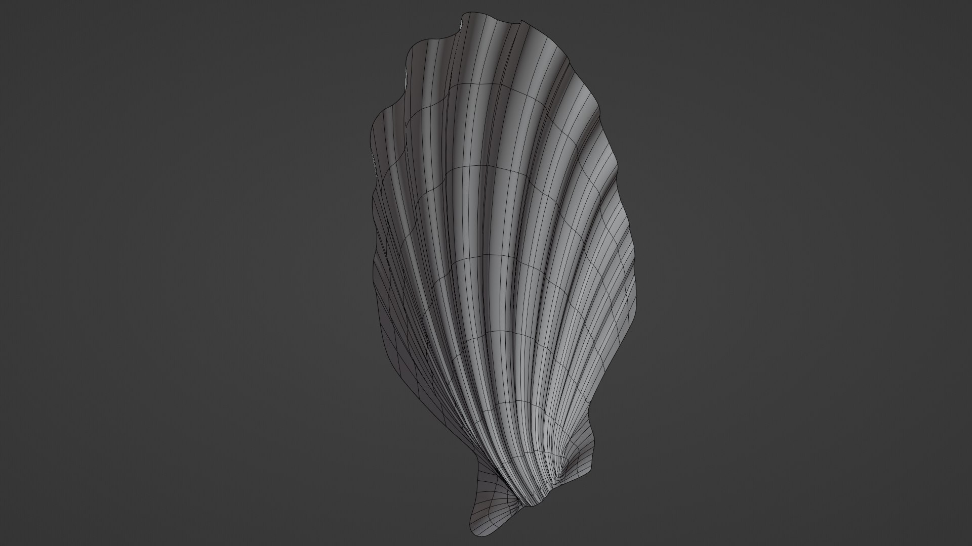 3D Seashell Model - TurboSquid 2235647
