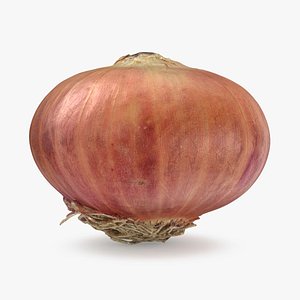 Shallot 03