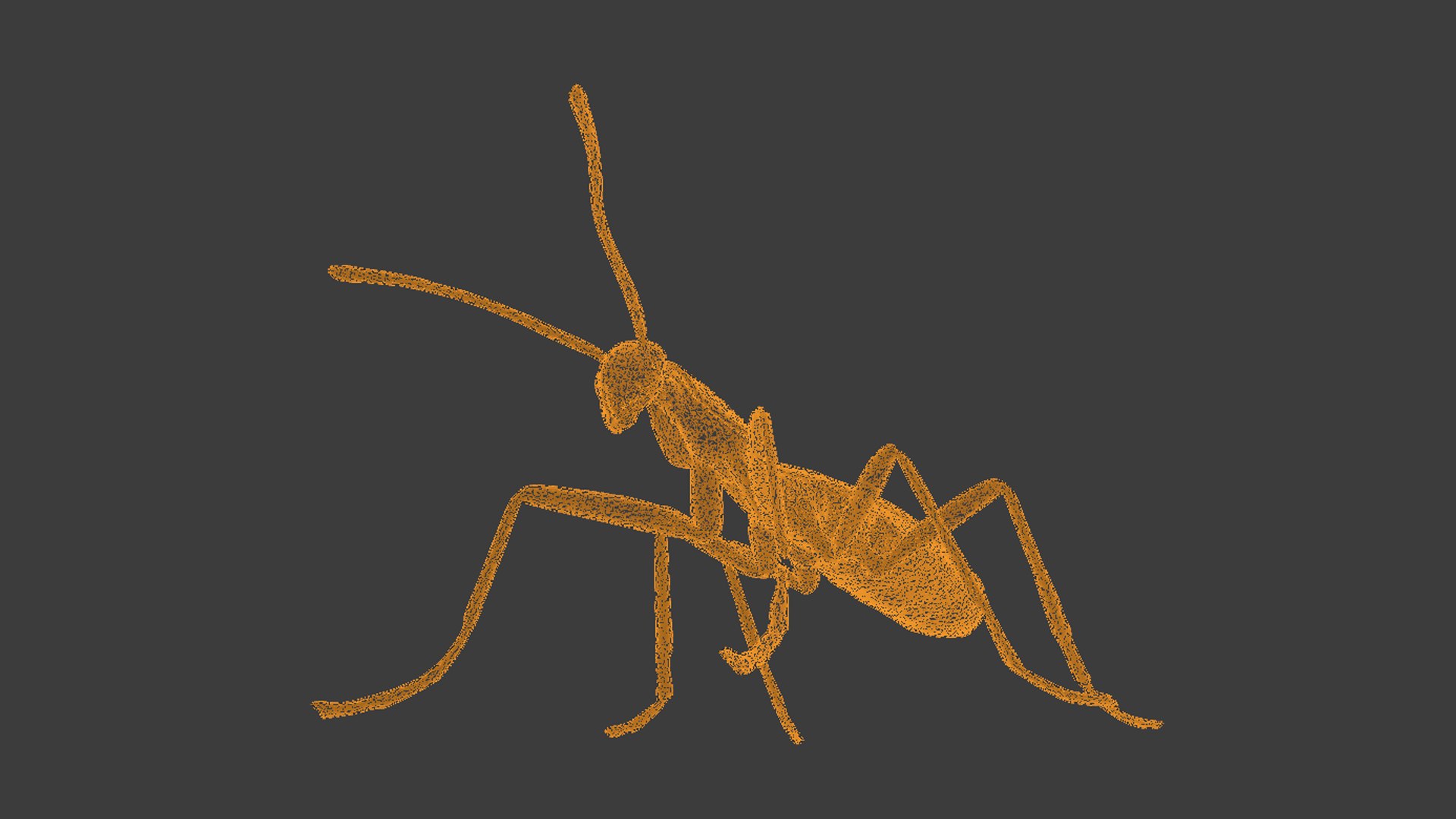 3D Rare Phasmida Stick Insect Model - TurboSquid 2323823