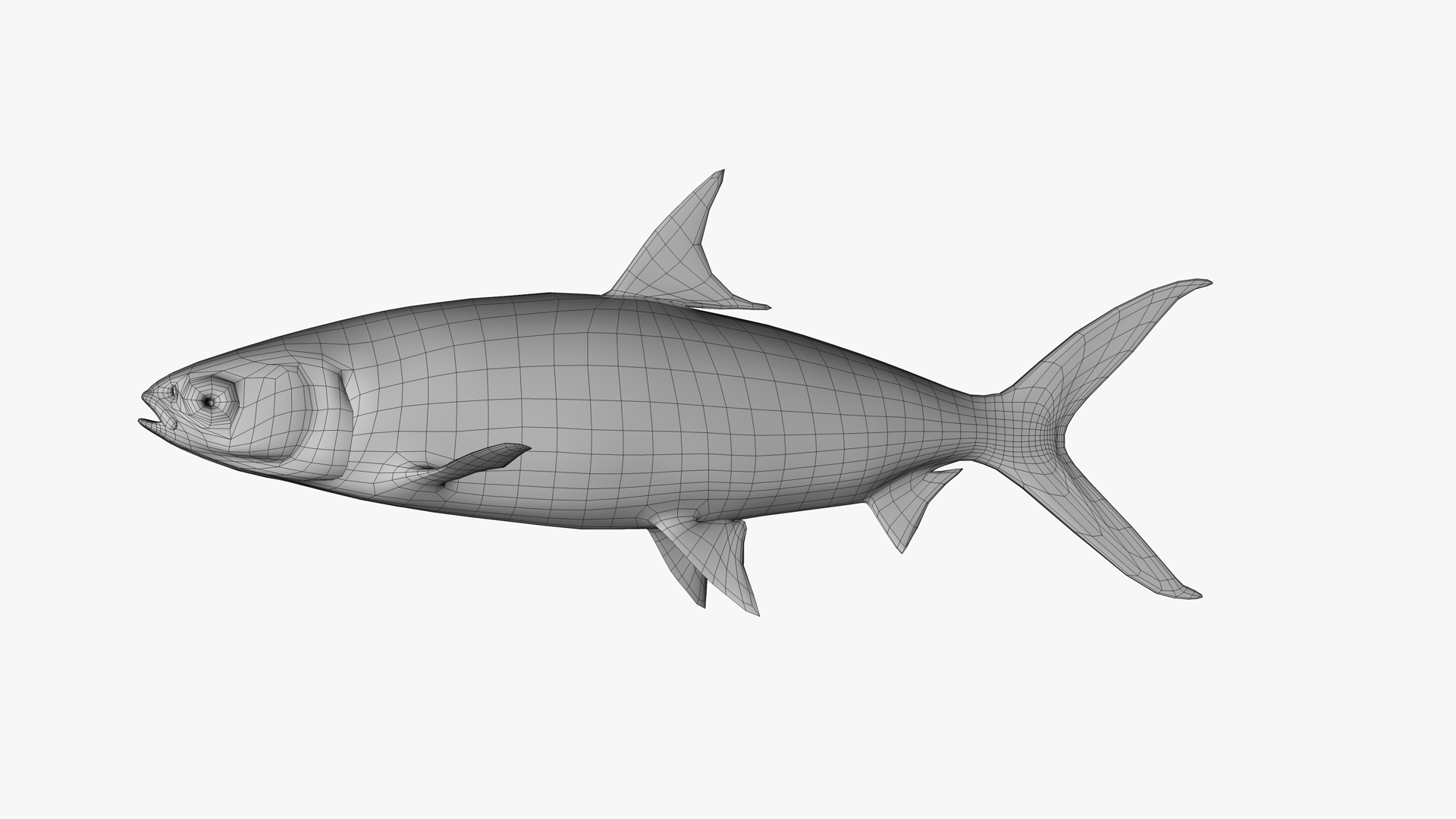 3D realistic milkfish https://p.turbosquid.com/ts-thumb/XE/Tsockk/eUAGym8r/0000/png/1592735316/1920x1080/turn_fit_q99/4a75358eab09022dc5636ce69fa15a521022296a/0000-1.jpg