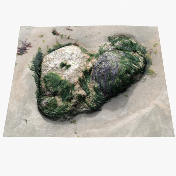 Rock 3D Scan 18 3D model