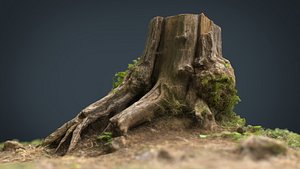 3D realistic tree stump
