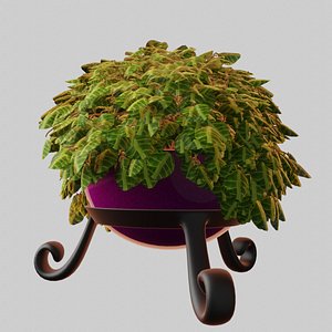 3D string turtle house plant