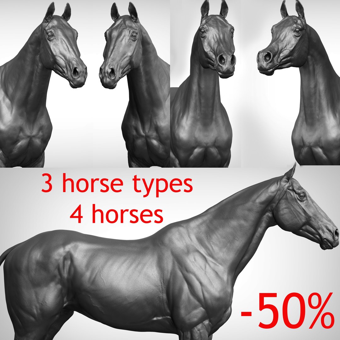 馬コレクションVfx映画のようなリアルなZbrush彫刻3Dモデル