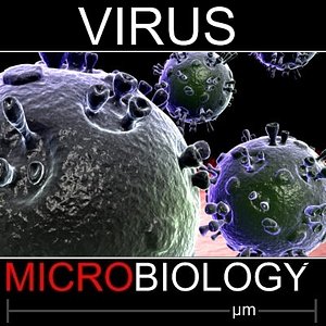 Generic Virus 5