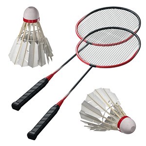 3D Set for playing badminton racket and shuttlecock