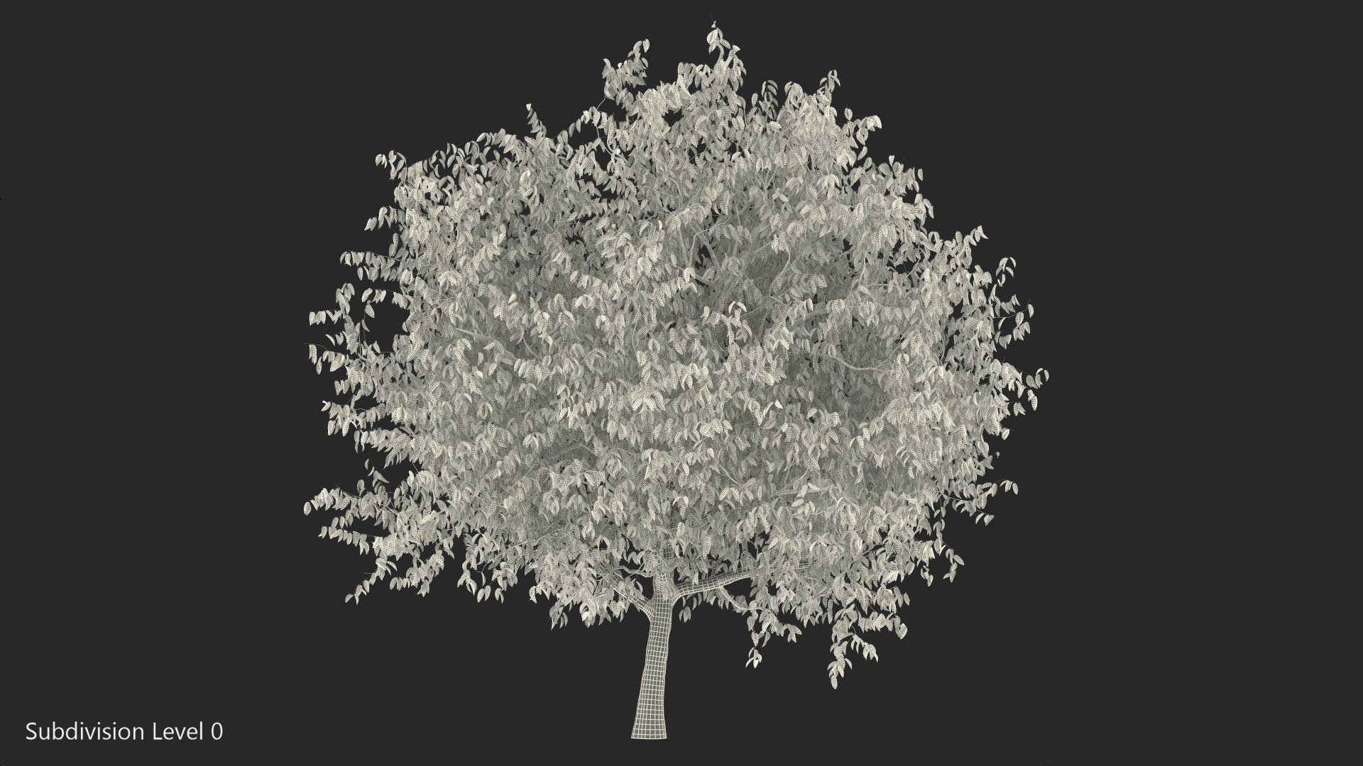 autumn cherry tree model https://p.turbosquid.com/ts-thumb/XF/7mJ0CV/MeTlXSbH/autumncherrytree3dmodel015/jpg/1565205157/1920x1080/fit_q87/ca31a14bb0ba08ad67f9f36016ed6bf411eda74d/autumncherrytree3dmodel015.jpg