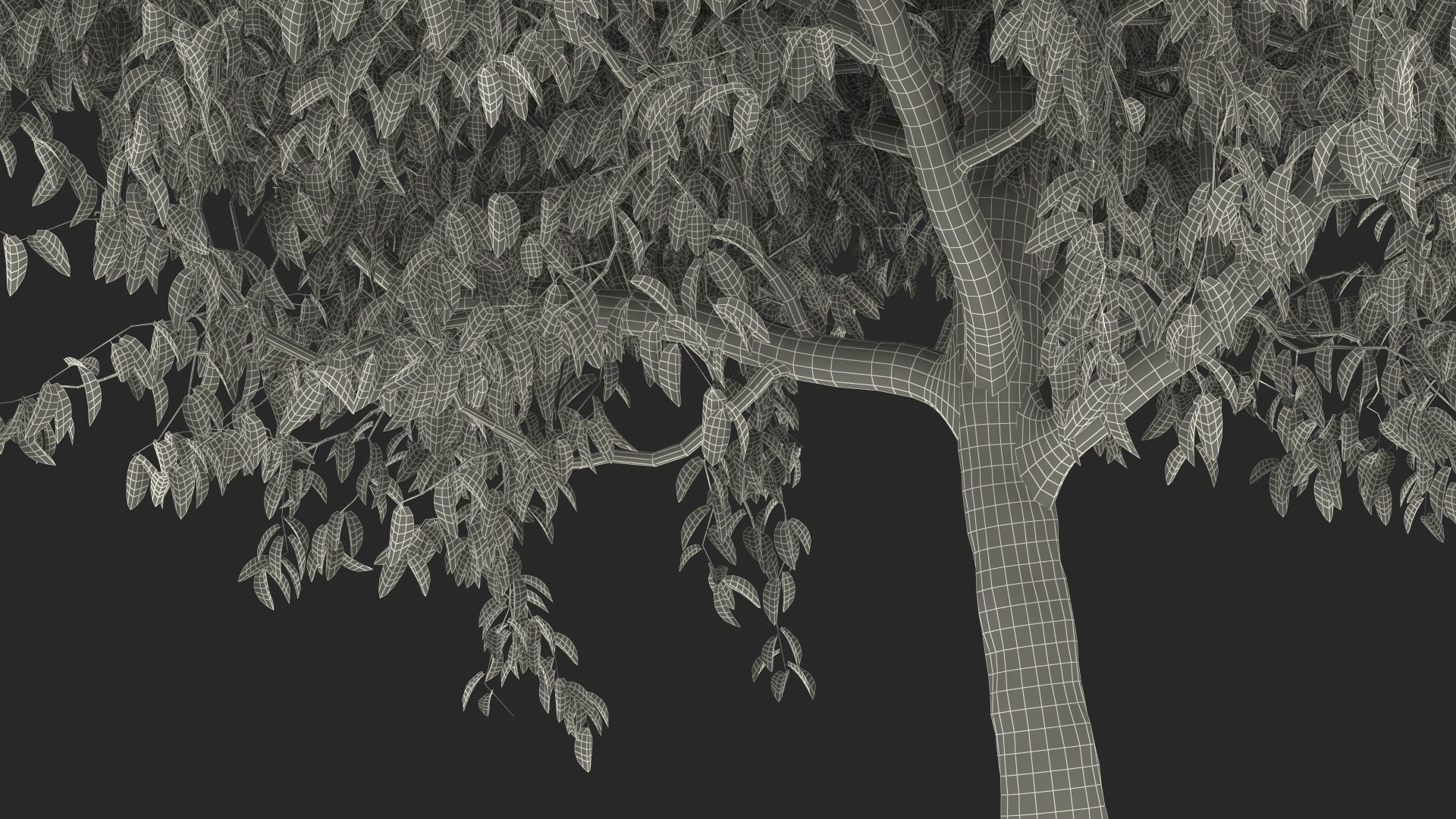 autumn cherry tree model https://p.turbosquid.com/ts-thumb/XF/7mJ0CV/XG8Nw4MO/autumncherrytree3dmodel022/jpg/1565205186/1920x1080/fit_q87/d032cde4a27380d99b2905091b93b54a94225f4b/autumncherrytree3dmodel022.jpg