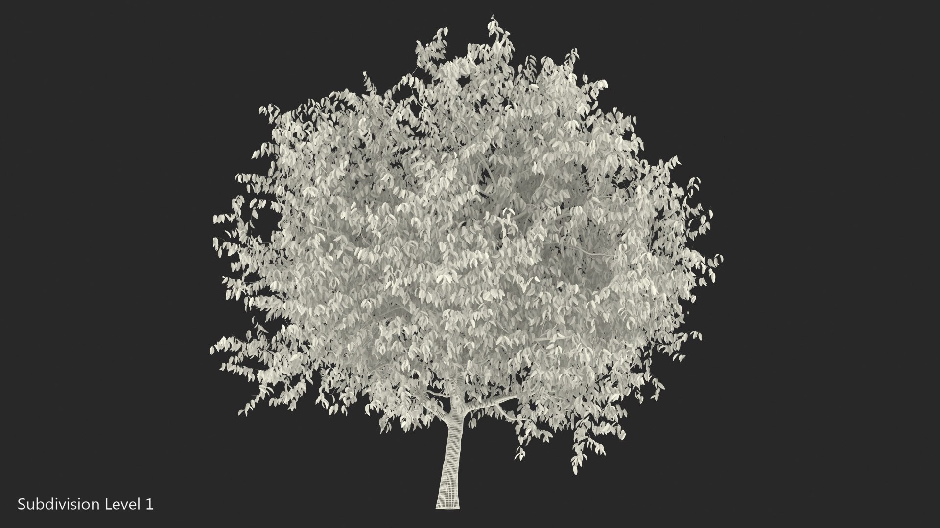 autumn cherry tree model https://p.turbosquid.com/ts-thumb/XF/7mJ0CV/awZfVq30/autumncherrytree3dmodel016/jpg/1565205161/1920x1080/fit_q87/3f42e76431a9fbe4b1efefb1479edb63a4ced537/autumncherrytree3dmodel016.jpg