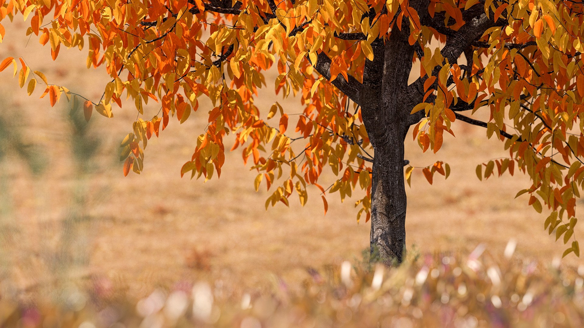 autumn cherry tree model https://p.turbosquid.com/ts-thumb/XF/7mJ0CV/ygLn6Xmp/autumncherrytree3dmodel002/jpg/1565205083/1920x1080/fit_q87/5937f3b0a4af3aba743bb190631fb752062b784d/autumncherrytree3dmodel002.jpg