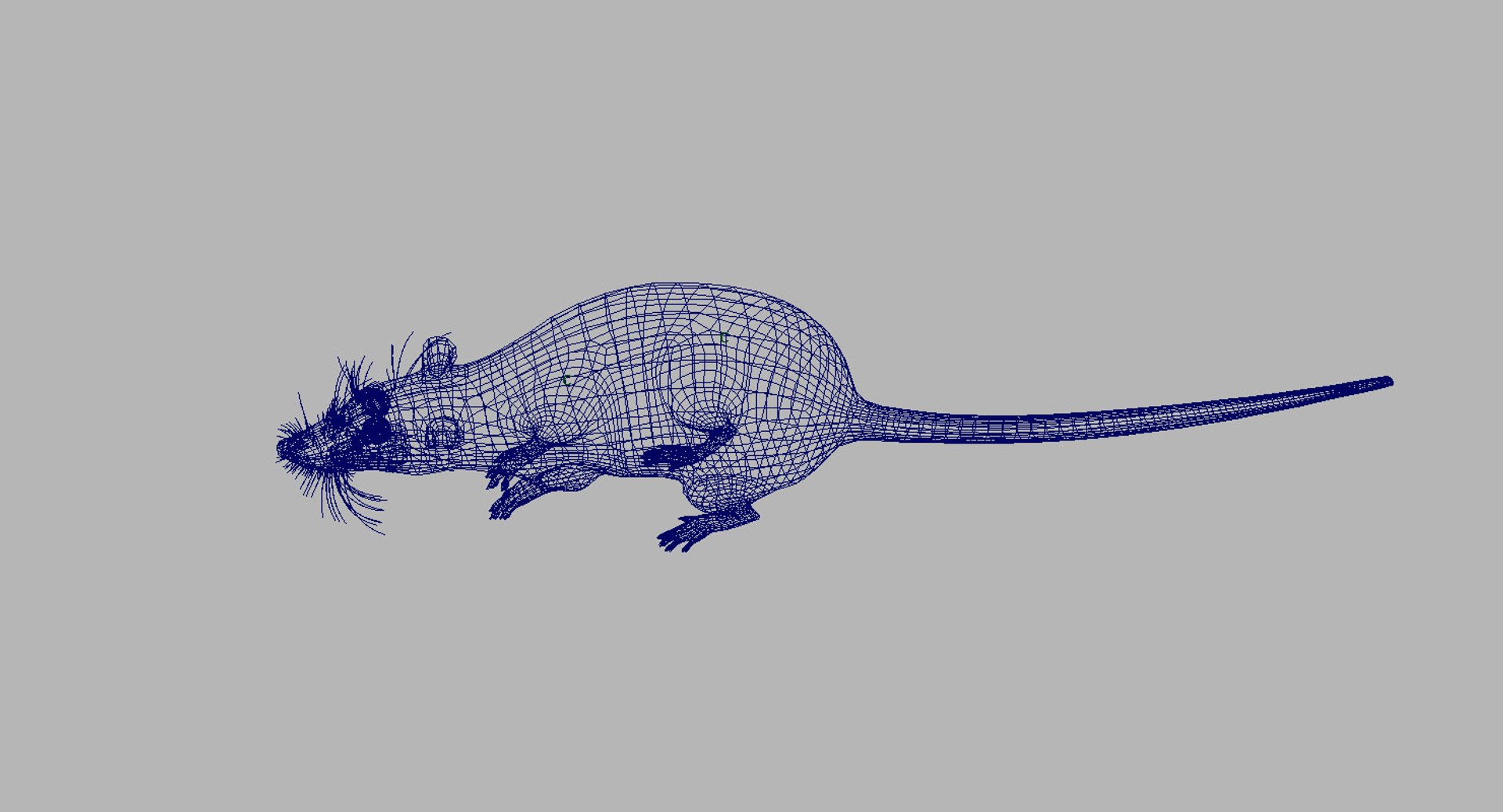 3D rat rigged model - TurboSquid 1434239