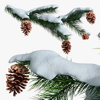 Snowy Pine Branch with Cones