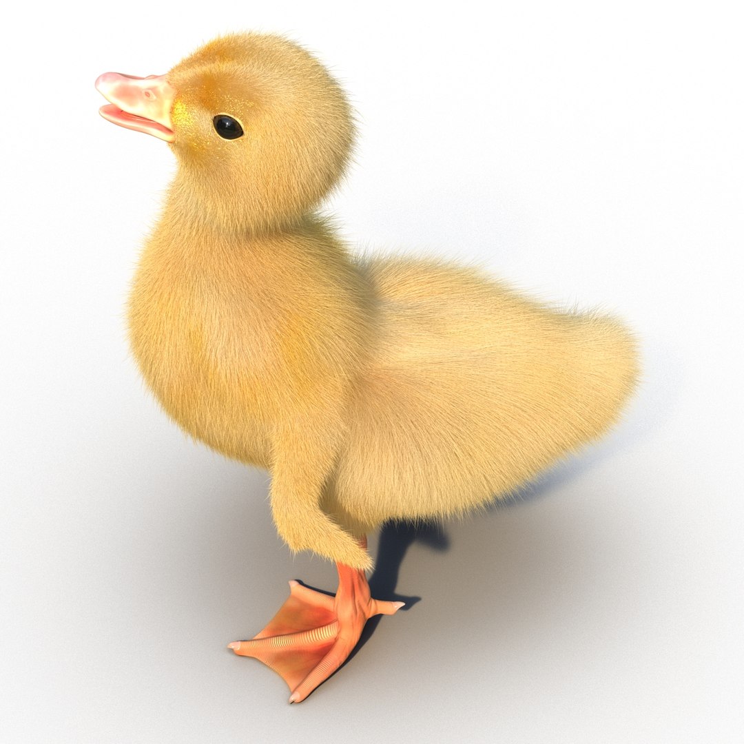 Duckling Pose 4 Max