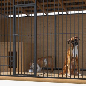 3D Enclosure with Dogs