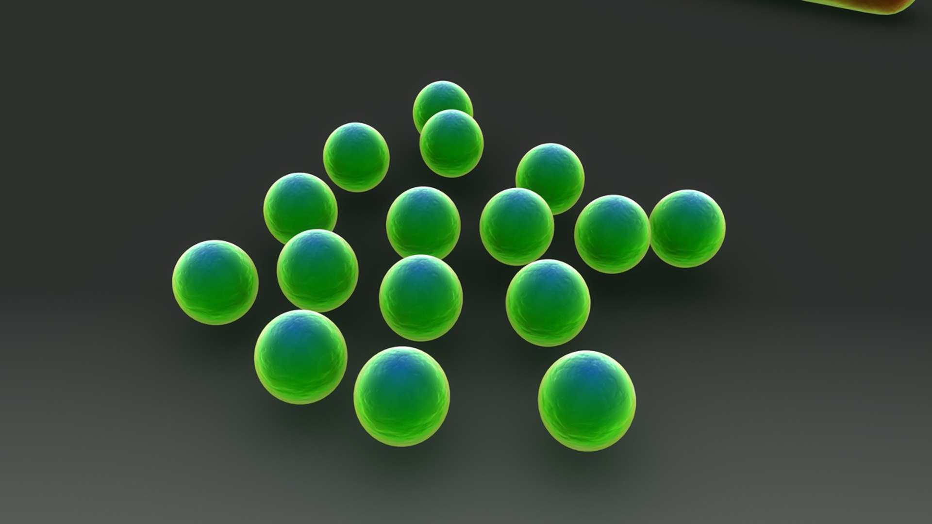 bacteria 3d model https://p.turbosquid.com/ts-thumb/XF/R5JBkw/U2DB5T69/b0342bacterialofdifferentshapes_closeup.0001/jpg/1472471998/1920x1080/fit_q87/7c8156f361d9187e33986f9c202852716c267cc9/b0342bacterialofdifferentshapes_closeup.0001.jpg