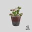 3D venus flytrap plant pot model
