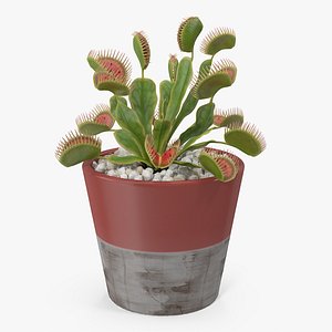 3D venus flytrap plant pot model
