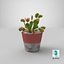 3D venus flytrap plant pot model