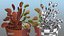 3D venus flytrap plant pot model