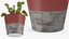 3D venus flytrap plant pot model
