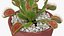 3D venus flytrap plant pot model