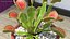 3D venus flytrap plant pot model